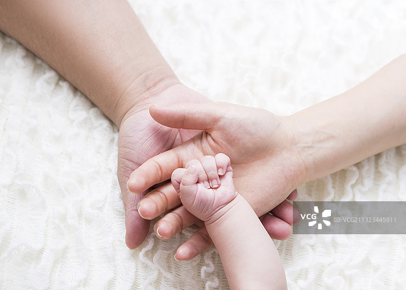 手,特写,父亲,母亲图片素材