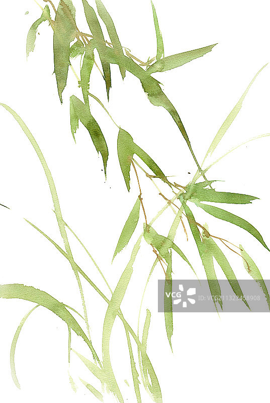 绿色的竹子图片素材