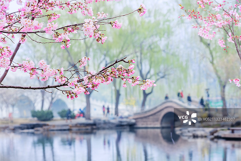 此图拍摄于北京玉渊潭公园。图片素材