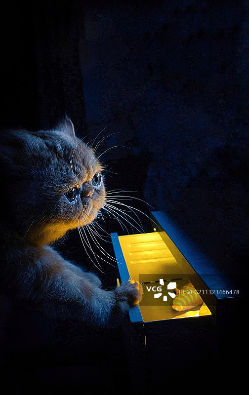 神秘的抽屉世界图片素材