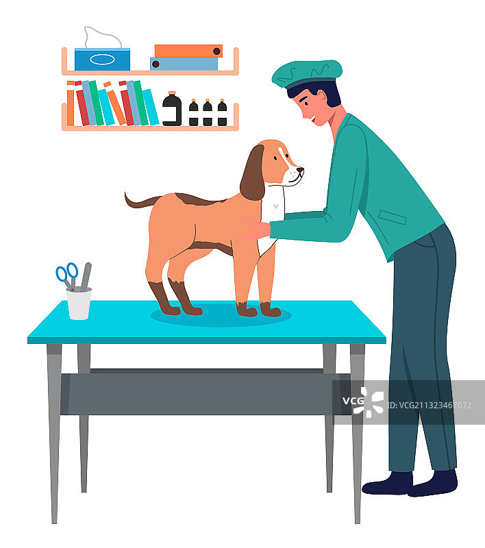 男兽医在宠物诊所检查狗图片素材