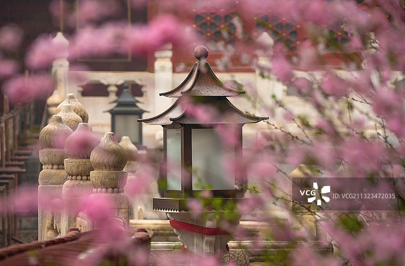 春天雨中故宫的榆叶梅、铜宫灯和宫廷建筑图片素材