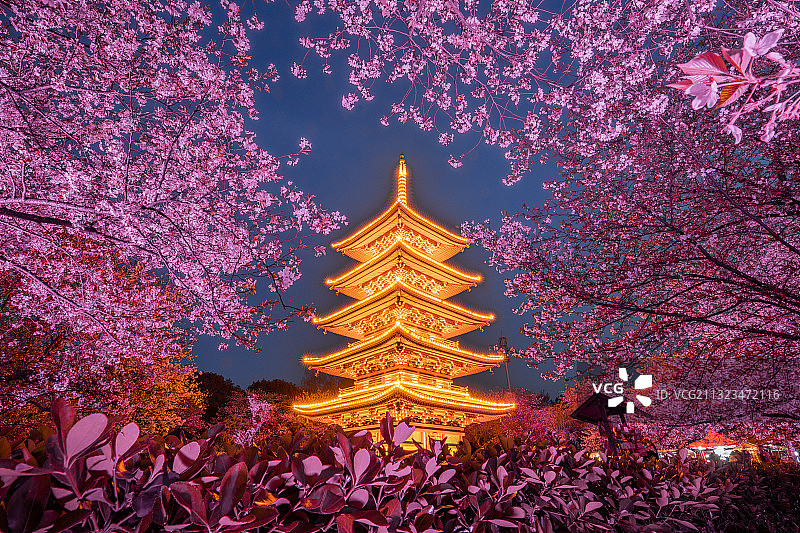 武汉市东湖风景区樱花园图片素材