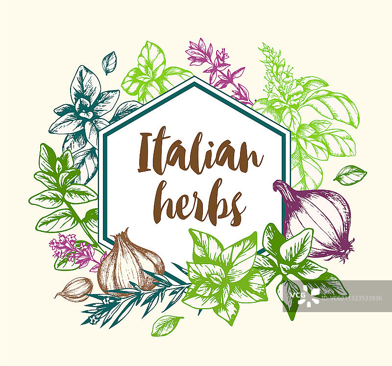 意大利香料和草药复古背景图片素材