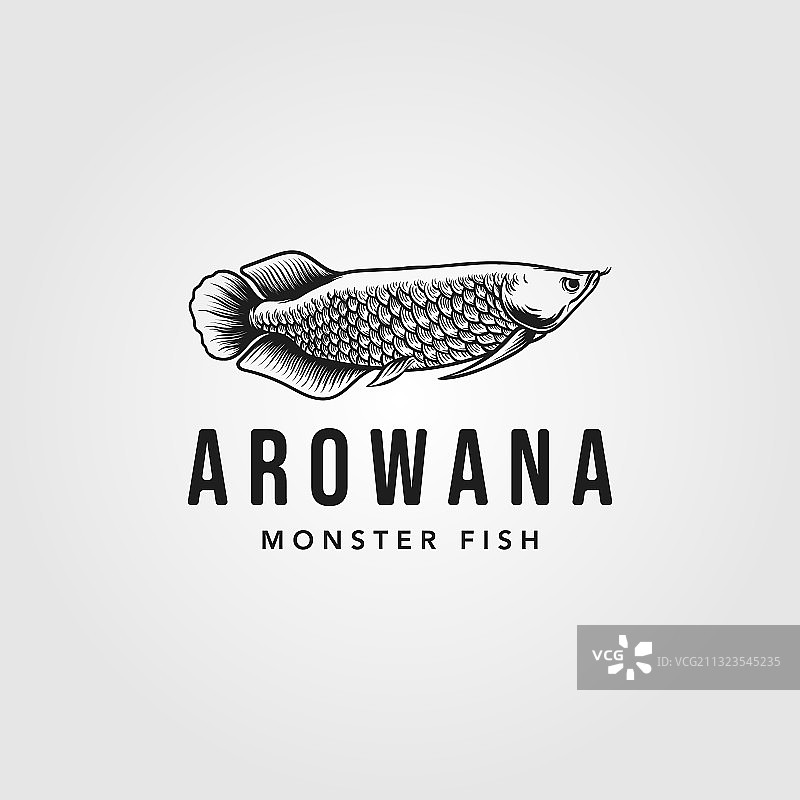 罗汉鱼 Logo 复古设计图片素材