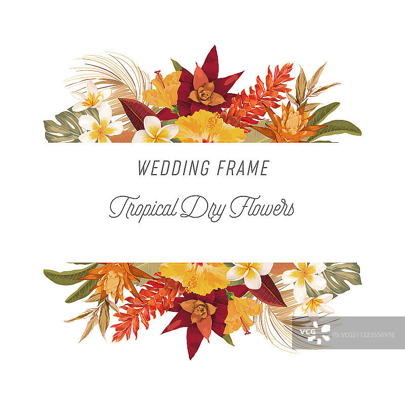 热带花卉与棕榈叶边框图片素材