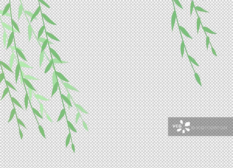 植物柳条图片素材