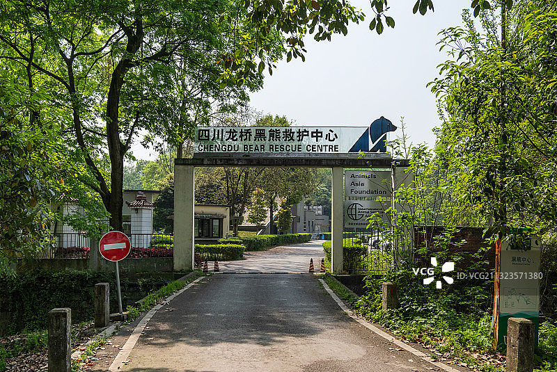 龙桥黑熊救治中心图片素材