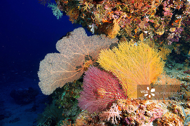 西沙群岛应有的色彩图片素材