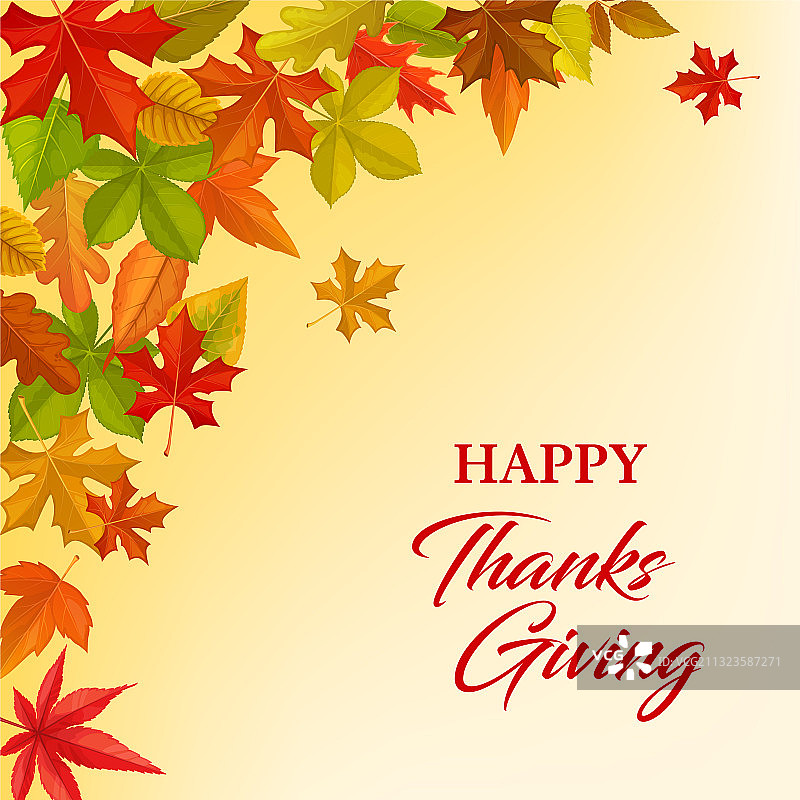 感恩节快乐贺卡与树叶图片素材