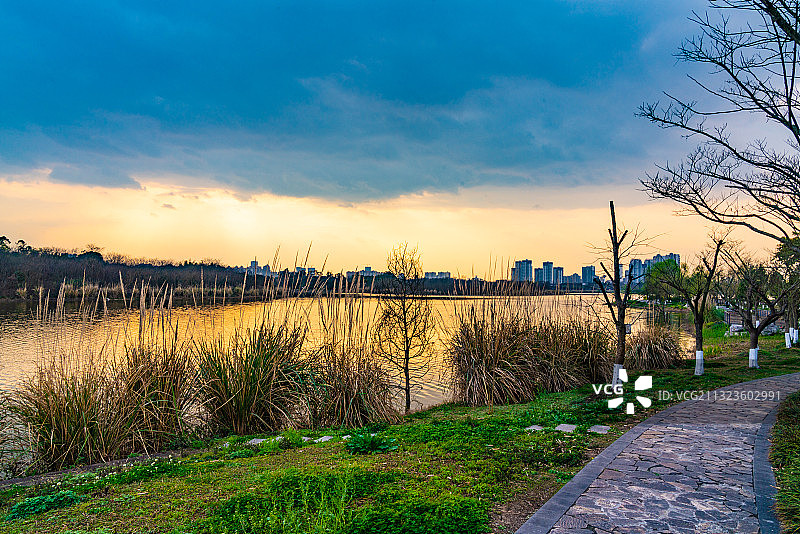 成都十陵青龙湖湿地公园图片素材