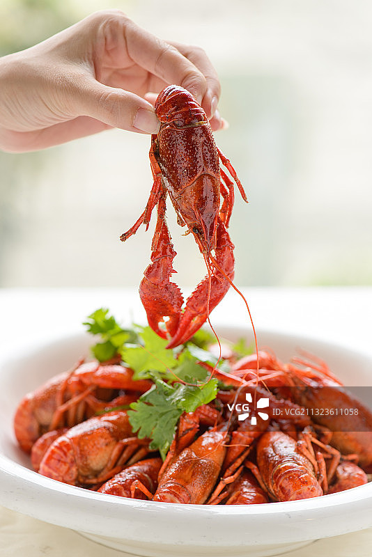 手拿一只小龙虾图片素材