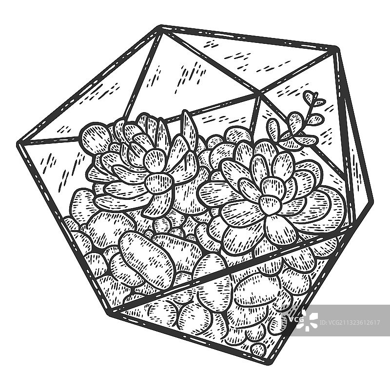 玻璃花房花瓶中的多汁植物雕刻图片素材