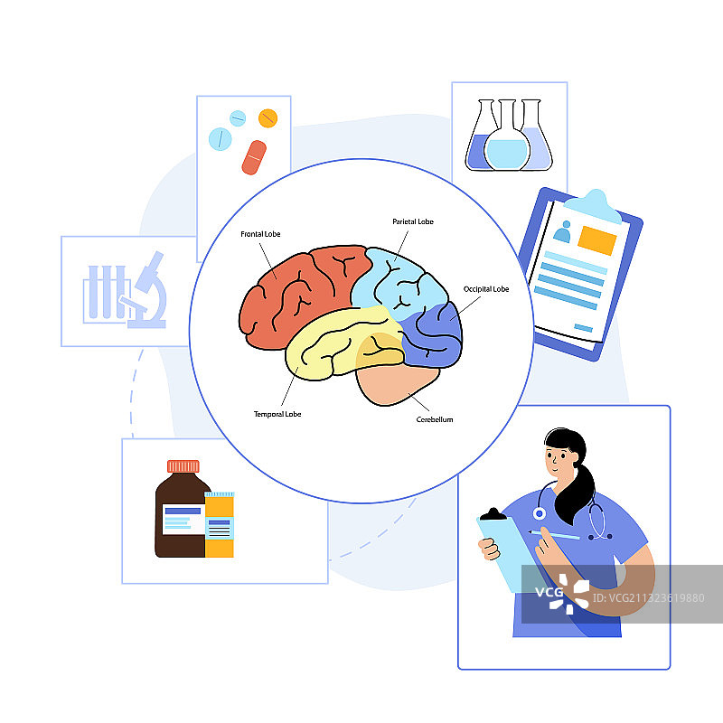 大脑与神经学图片素材