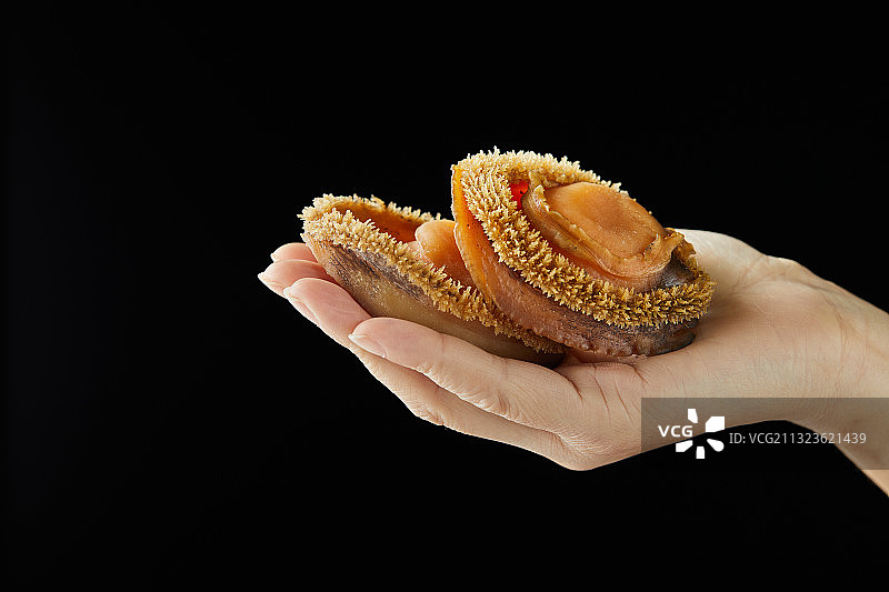 手拿鲍鱼图片素材