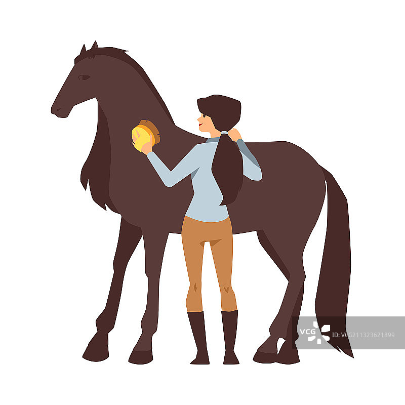 年轻女人清洁一匹纯种栗色马图片素材