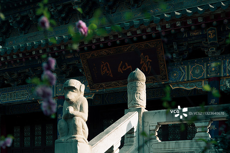 西安八仙庵聚仙阁的春天图片素材