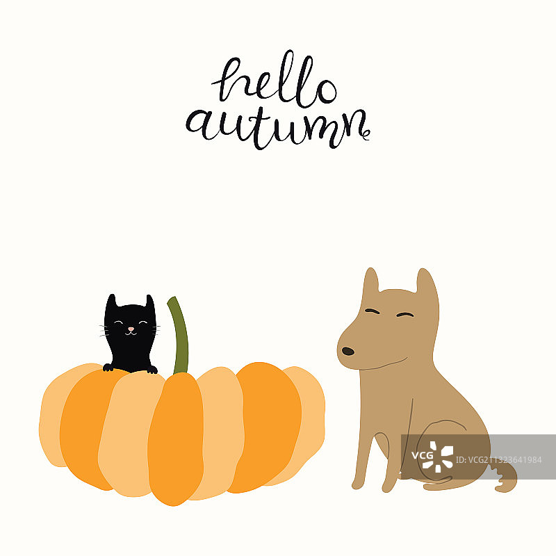 大南瓜、小黑猫和可爱的小狗图片素材