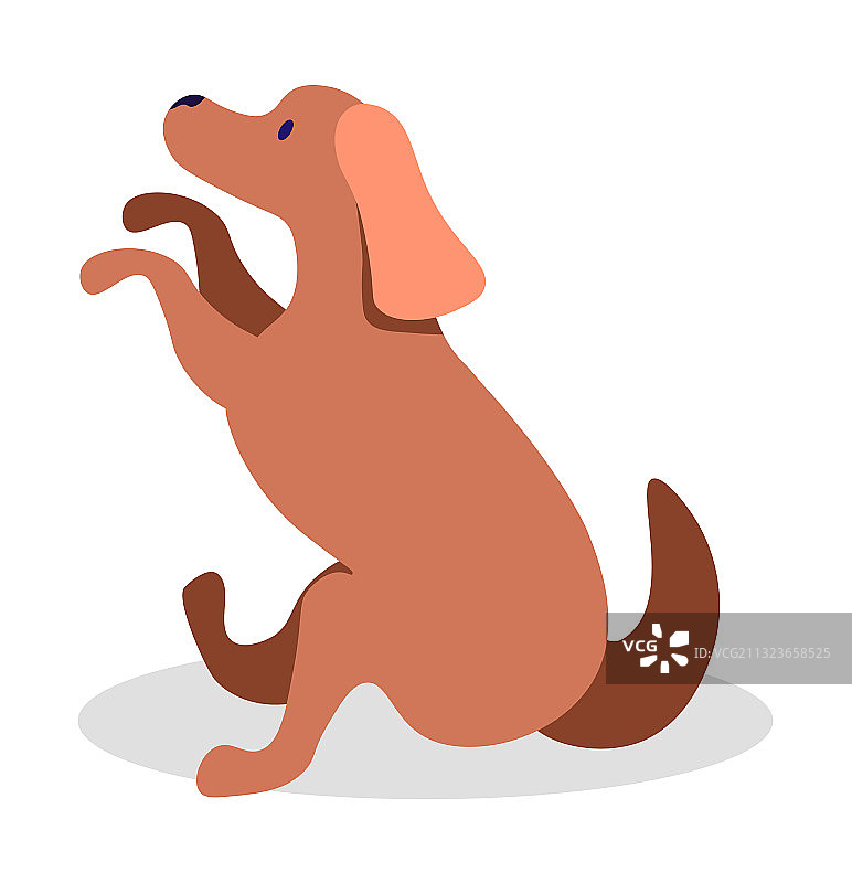 狗狗抬起爪子坐着，独立犬类动物图片素材