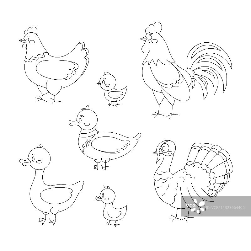 农场鸟类白色背景线条艺术合集图片素材