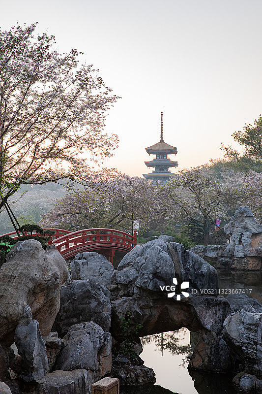 武汉市东湖风景区樱花园图片素材