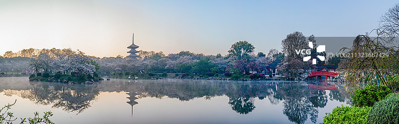 武汉市东湖风景区樱花园图片素材