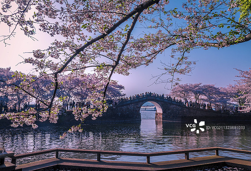 鼋头渚长春桥赏樱＋无锡鼋头渚图片素材