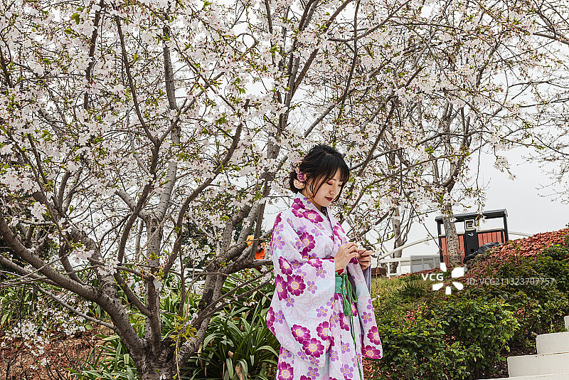 樱花姑娘图片素材