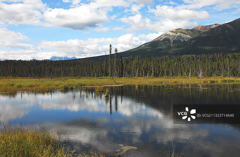 美国阿拉斯加州兰格尔山脉的湖泊树木美景图片素材