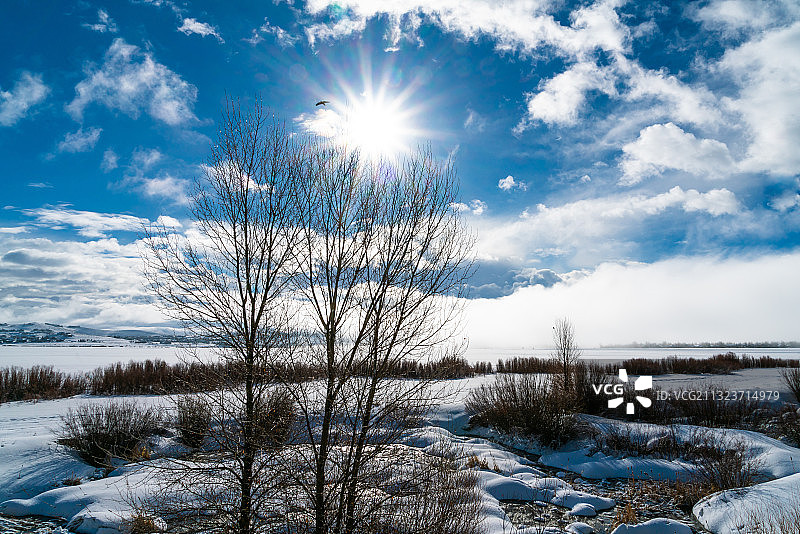 白雪覆盖的田野对天空的风景图片素材