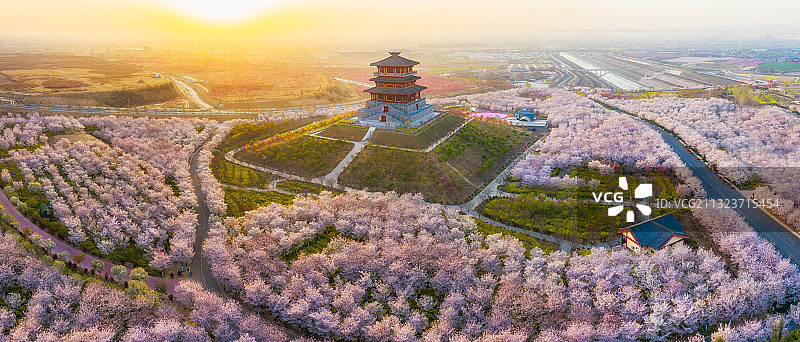 郑州沿黄生态廊道荥阳古柏渡丰乐樱花园航拍图片素材