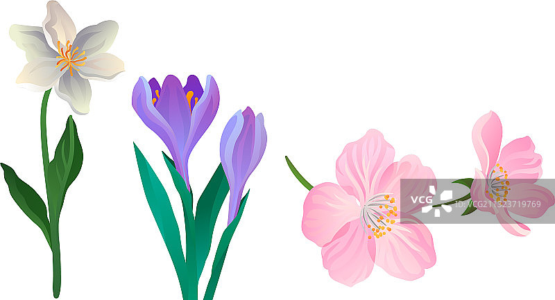 盛开的田野和草地花朵图片素材