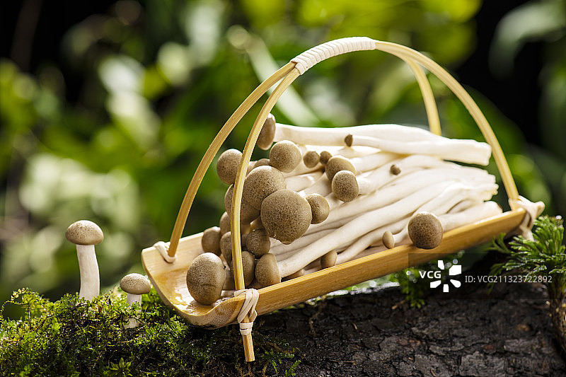 蟹味菇图片素材