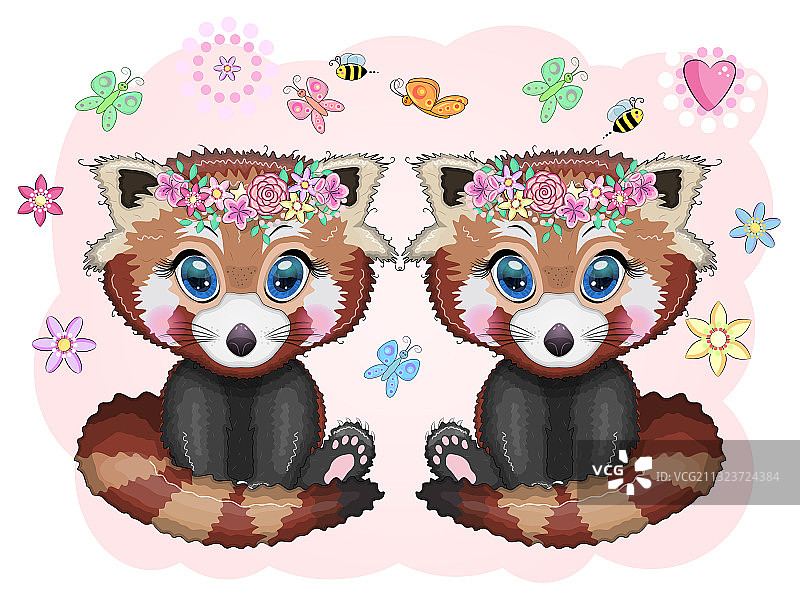 有着美丽眼睛的可爱小熊猫图片素材