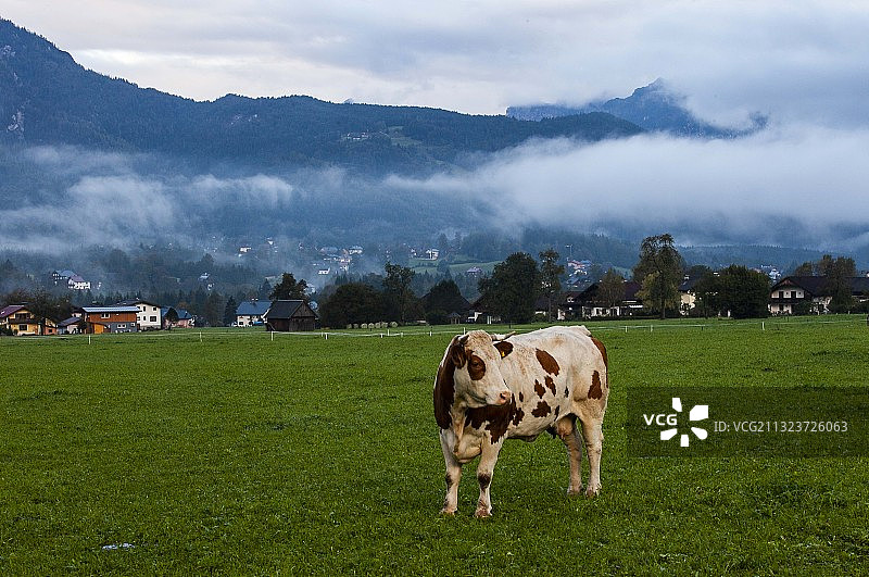 守卫者图片素材