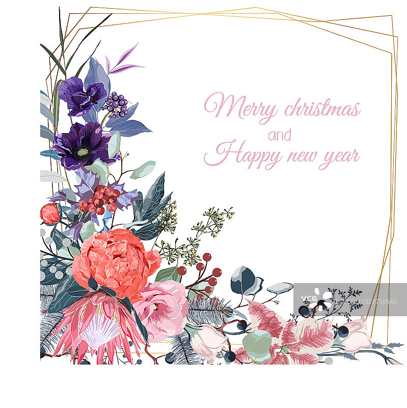 节日植物圣诞贺卡图片素材