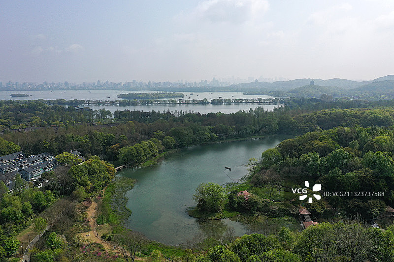 春天的杭州，满目过去一片绿意图片素材