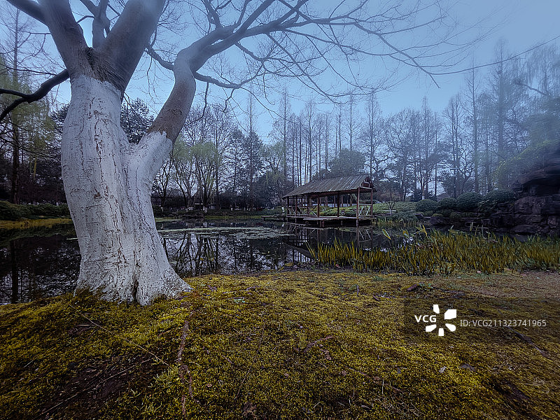 学士公园的清晨，杭州图片素材