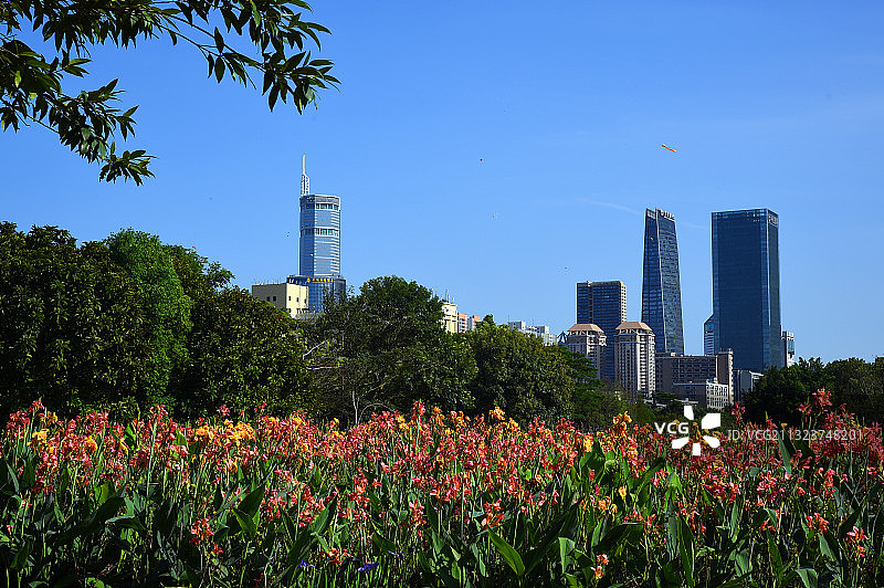 深圳中心公园日景图片素材