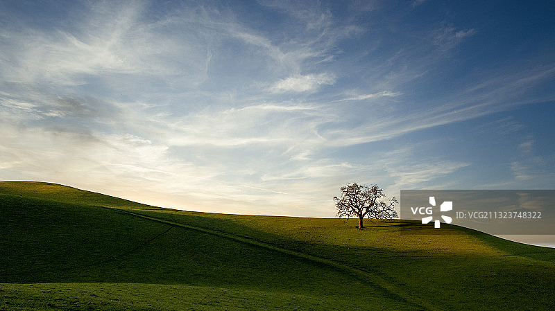 美国加利福尼亚州丹维尔田野风光图片素材