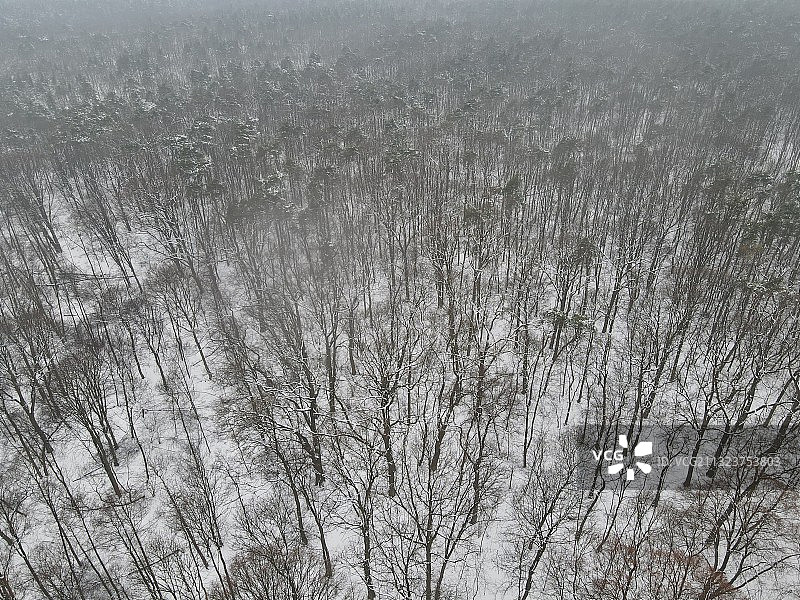 波兰华沙雪景航拍图片素材