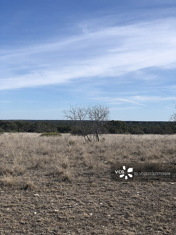 德克萨斯州梅纳德镇的田野风光，美国图片素材
