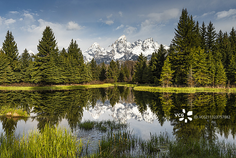 美国树木湖泊的风景图片素材