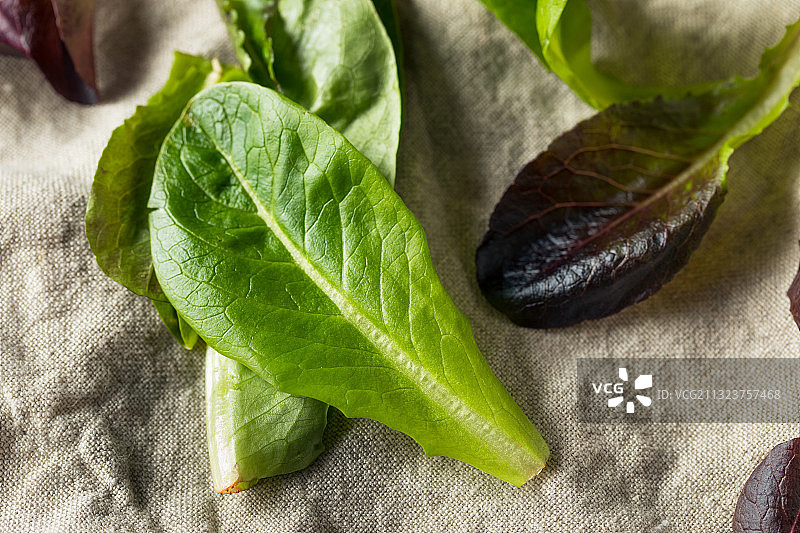 咖喱叶在桌上的特写图片素材