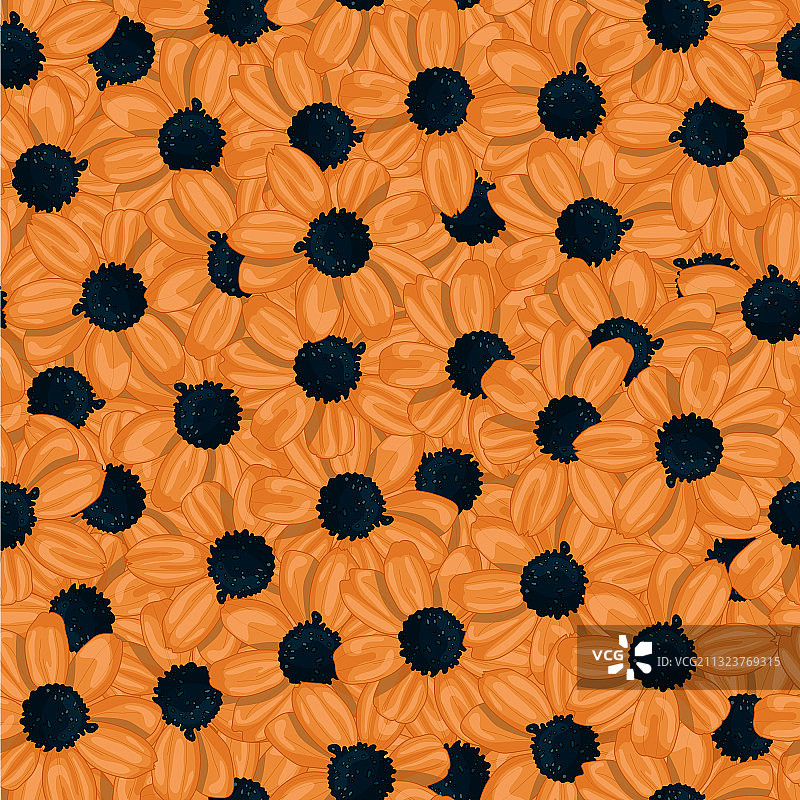 逼真小黄色非洲菊图案图片素材