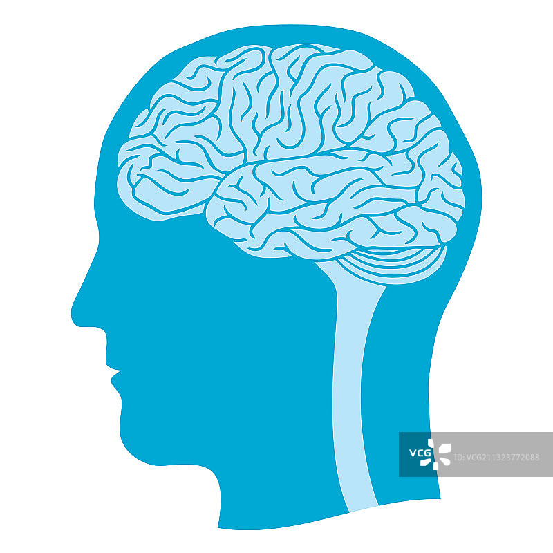 带大脑的人头剪影图片素材