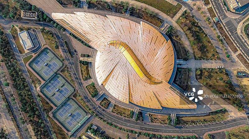 金海螺图片素材