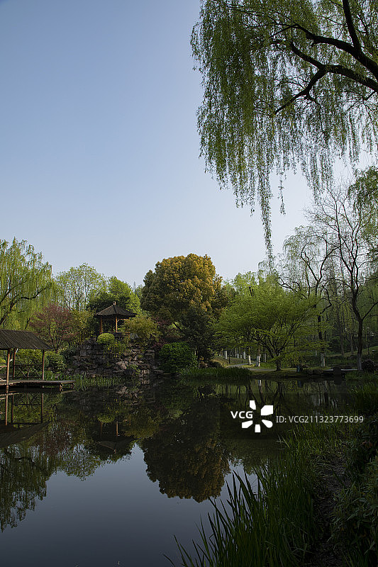 清晨杭州学士公园图片素材