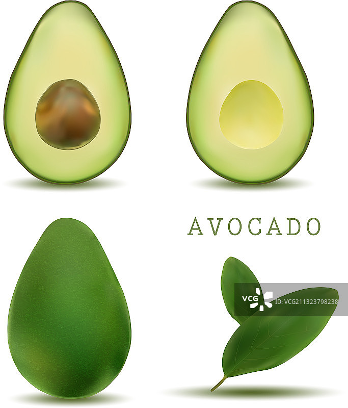 逼真的牛油果及切开的牛油果图片素材
