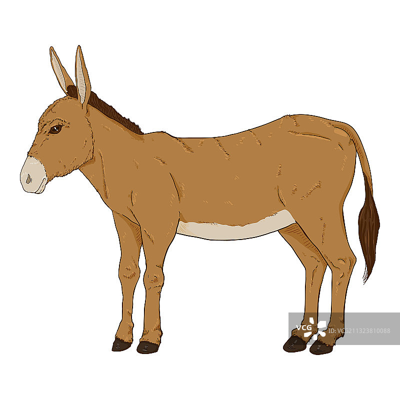 卡通棕色驴图片素材